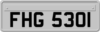 FHG5301