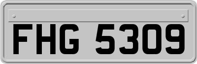 FHG5309