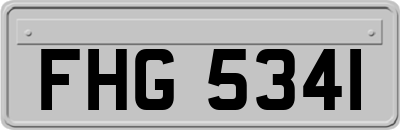 FHG5341