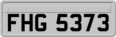 FHG5373