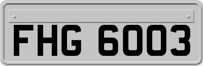 FHG6003
