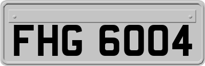 FHG6004