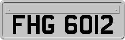 FHG6012