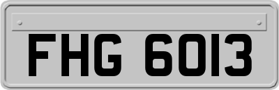 FHG6013