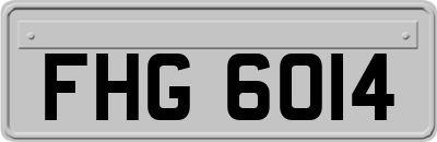 FHG6014