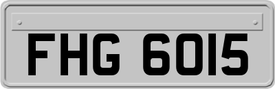 FHG6015