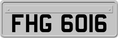 FHG6016