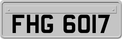 FHG6017