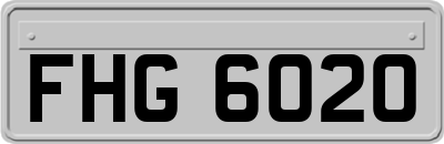 FHG6020
