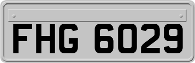 FHG6029