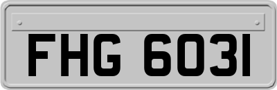 FHG6031