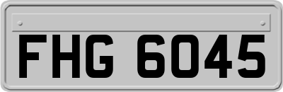 FHG6045