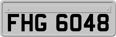 FHG6048