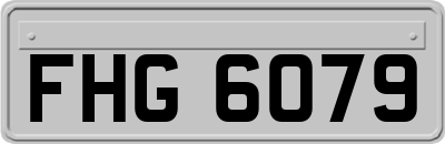 FHG6079