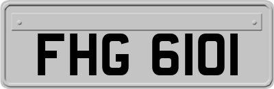 FHG6101