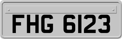 FHG6123