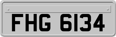 FHG6134