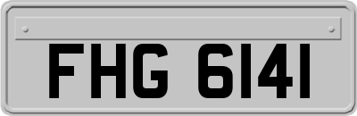 FHG6141