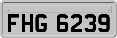 FHG6239