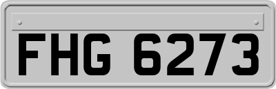 FHG6273