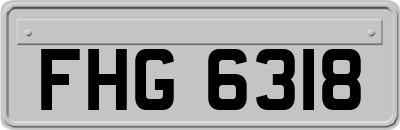 FHG6318