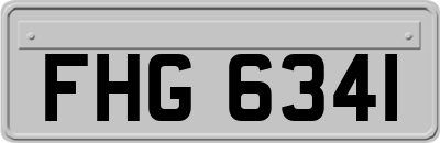 FHG6341