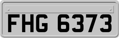 FHG6373