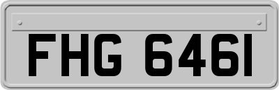 FHG6461