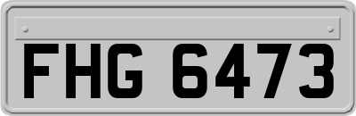 FHG6473