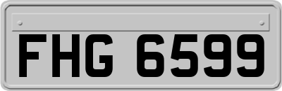FHG6599