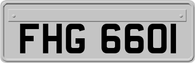 FHG6601