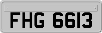 FHG6613