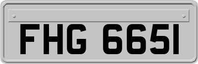FHG6651