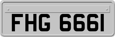 FHG6661