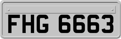 FHG6663
