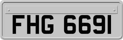 FHG6691