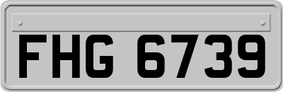 FHG6739