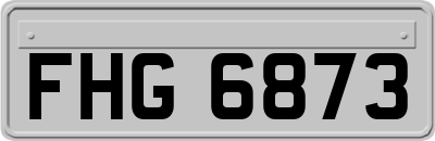 FHG6873