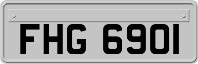 FHG6901