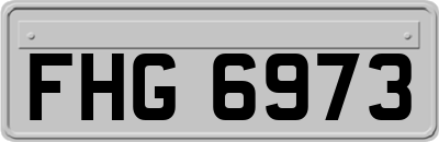 FHG6973