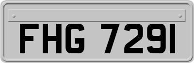 FHG7291