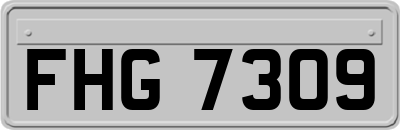 FHG7309
