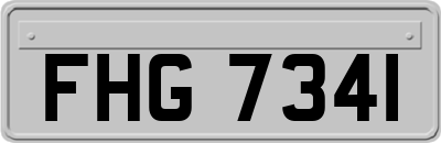 FHG7341