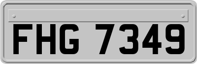 FHG7349