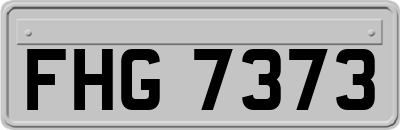 FHG7373