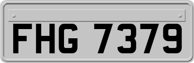 FHG7379
