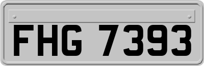 FHG7393