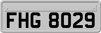 FHG8029