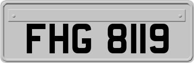 FHG8119