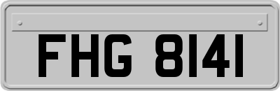 FHG8141
